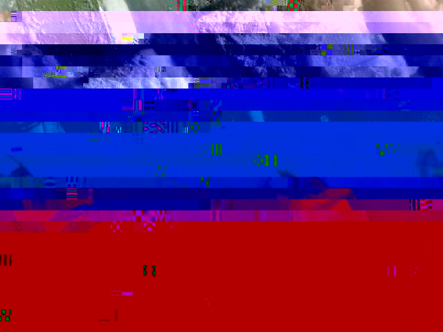 16012010.jpg