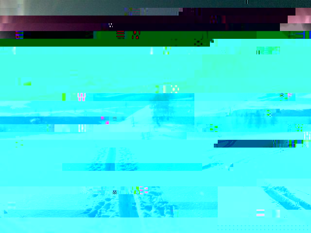 17012010.jpg