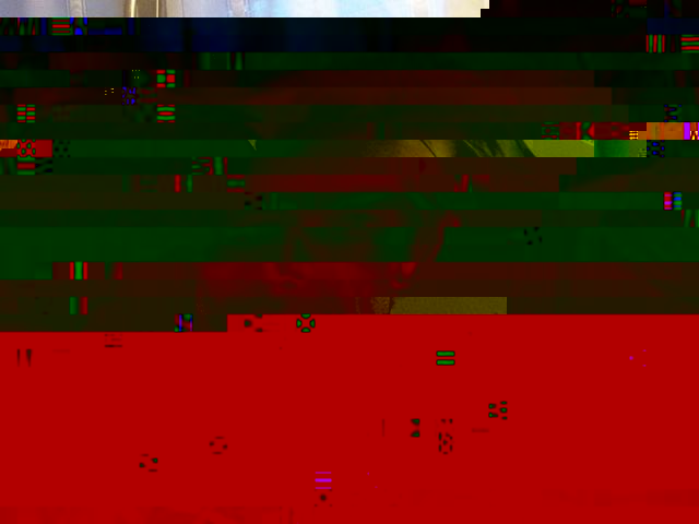 IMG00211-20110327-1913 v1.jpg